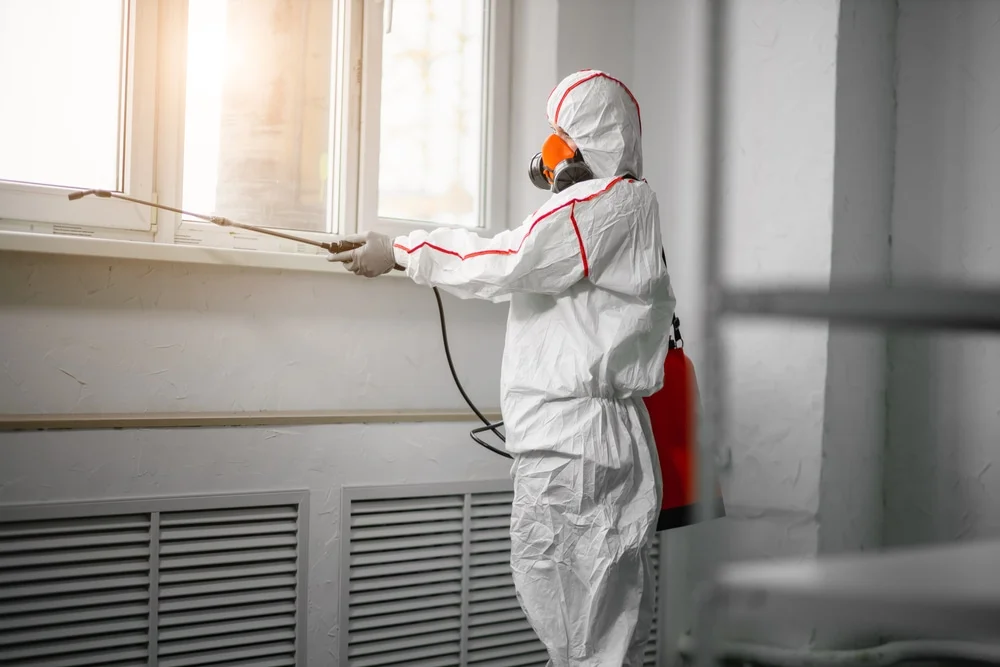 Professional mold remediation services in Newnan, GA